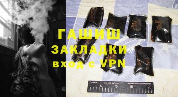 гашик Алексеевка